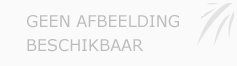 Afbeelding › Ingrid Van den Eede